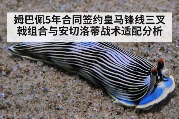 姆巴佩5年合同签约皇马锋线三叉戟组合与安切洛蒂战术适配分析