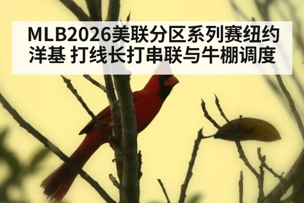 MLB2026美联分区系列赛纽约洋基 打线长打串联与牛棚调度